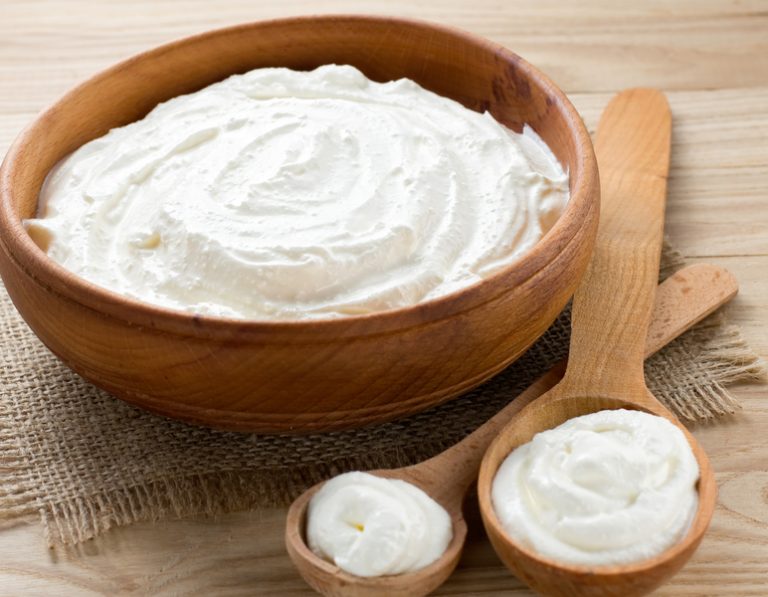 Probiotic Yogurt Starter LACTOBACILLUS BULGARICUS is Native to Bulgaria